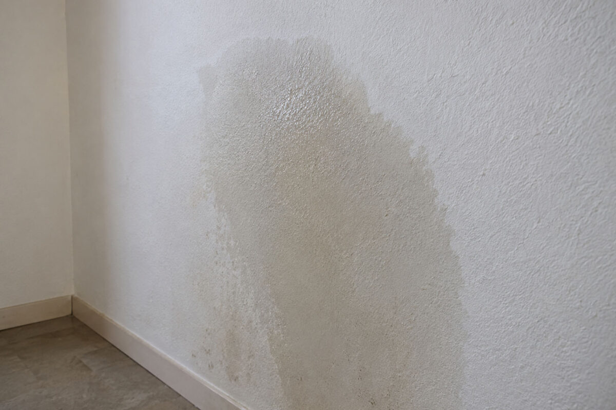 Feuchter Wasserfleck an einer weißen Innenwand durch möglichen Rohrbruch oder Wasserschaden