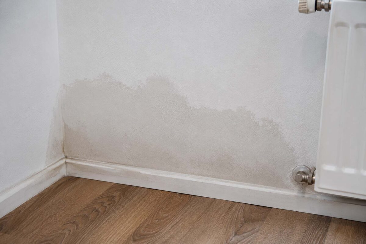 Feuchte Innenwand mit Wasserschaden neben Heizkörper durch möglichen Rohrbruch oder undichte Heizung